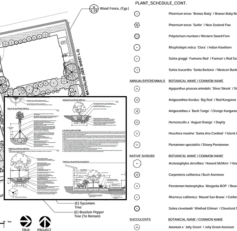 Brentwood planting plan and plant schedule