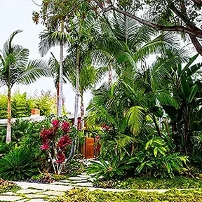 Beverly Glen tropical garden