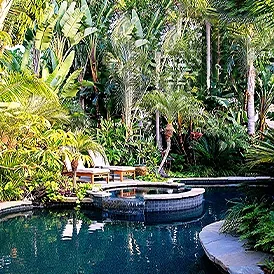 Brentwood pool and spa