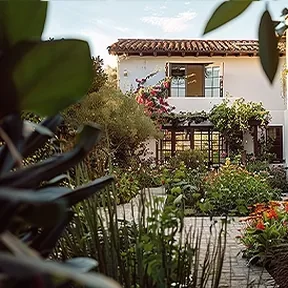Hermosa Beach xeriscape garden
