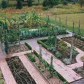 Montecito vegetable garden