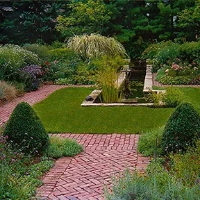 Pasadena water-wise perennial garden