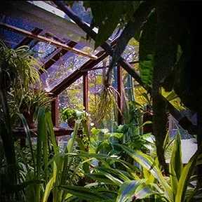 Santa Barbara greenhouse garden