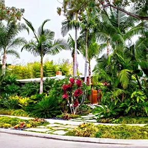 Solana Beach garden