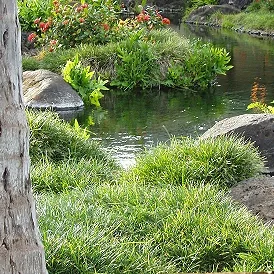 Zuma Beach garden