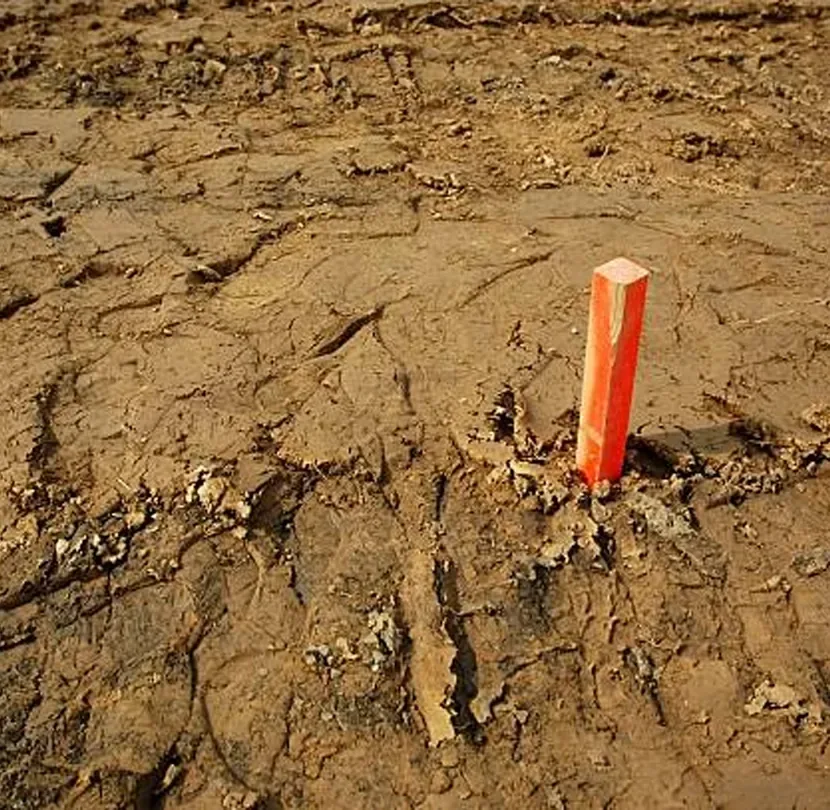 Survey stake on a graded estate site in West Los Angeles