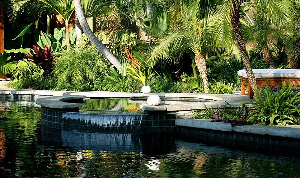 Sunset Magazine feature garden: spa and pool among palms and tropical planting