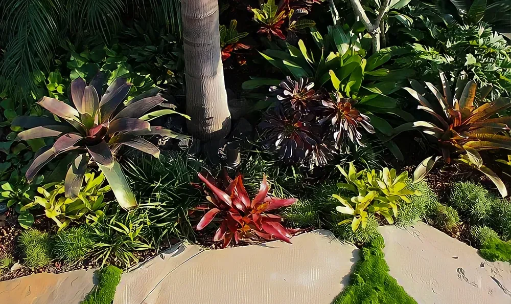 Sunset Magazine feature garden: bromeliads and succulents under palms